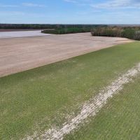 20.7 Acres of Riverfront Land For Sale in Martin County NC images 5