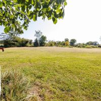 AUCTION Tract 6 30 - Acres Recreational Land with Lake and Ponds images 4