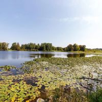 AUCTION Tract 6 30 - Acres Recreational Land with Lake and Ponds images 5