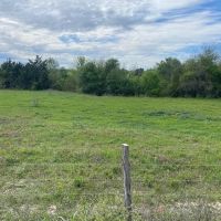 Tracts 1 2 Caney Creek Rd Chappell Hill TX images 4