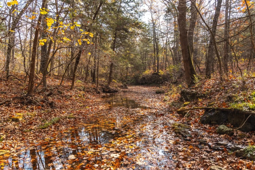 Vaughan Eldon MO featured image