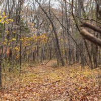 Vaughan Eldon MO images 3