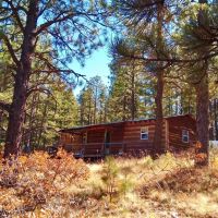 Ponderosa Pine Retreat images 2