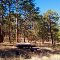 Ponderosa Pine Retreat images 5