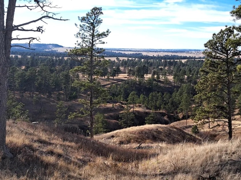 30.93 Acres - Nebraska Land for Sale featured image