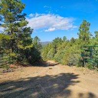 67 Ponderosa Hills images 2