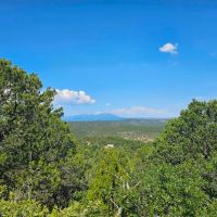 67 Ponderosa Hills images 5