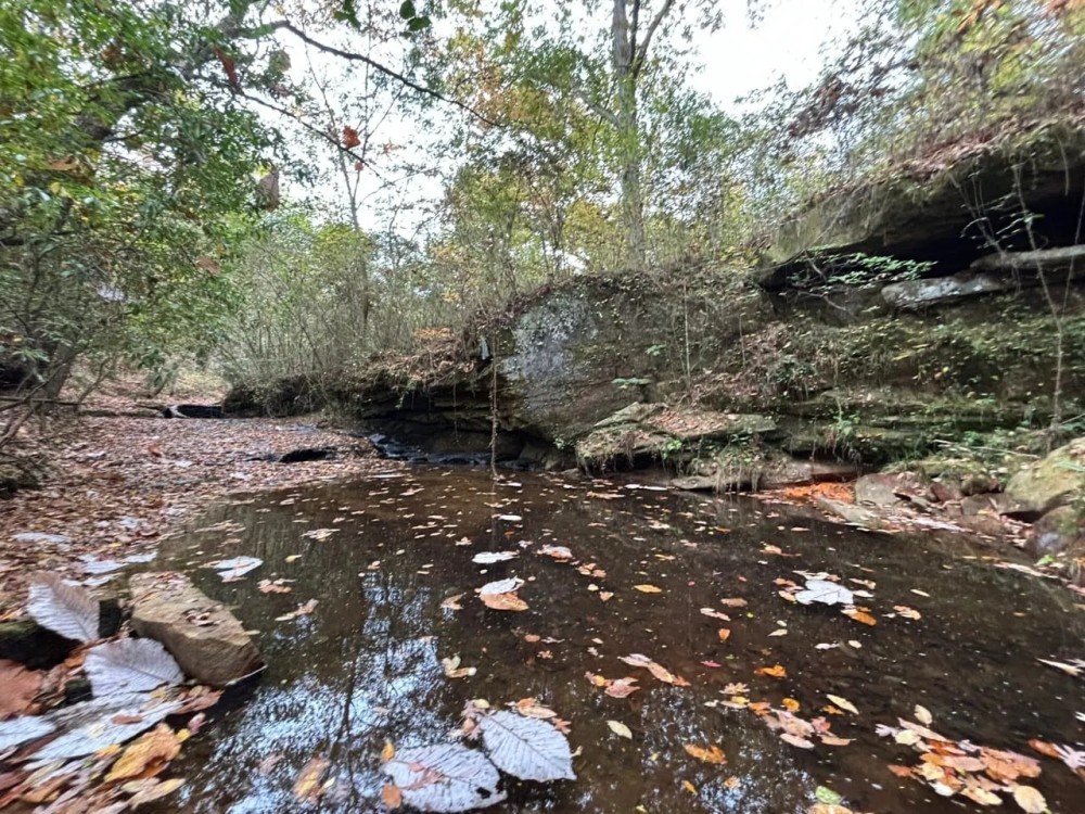 Marion County Homesite Tract 2C featured image