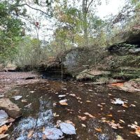 Marion County Homesite Tract 2C
