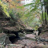 Marion County Homesite Tract 2C images 2