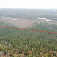 Marion County Homesite Tract 2C images 4