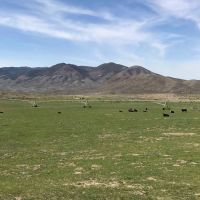 Hat Springs Ranch