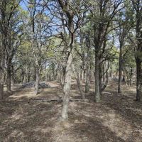T1 Fishers Peak Ranch images 2
