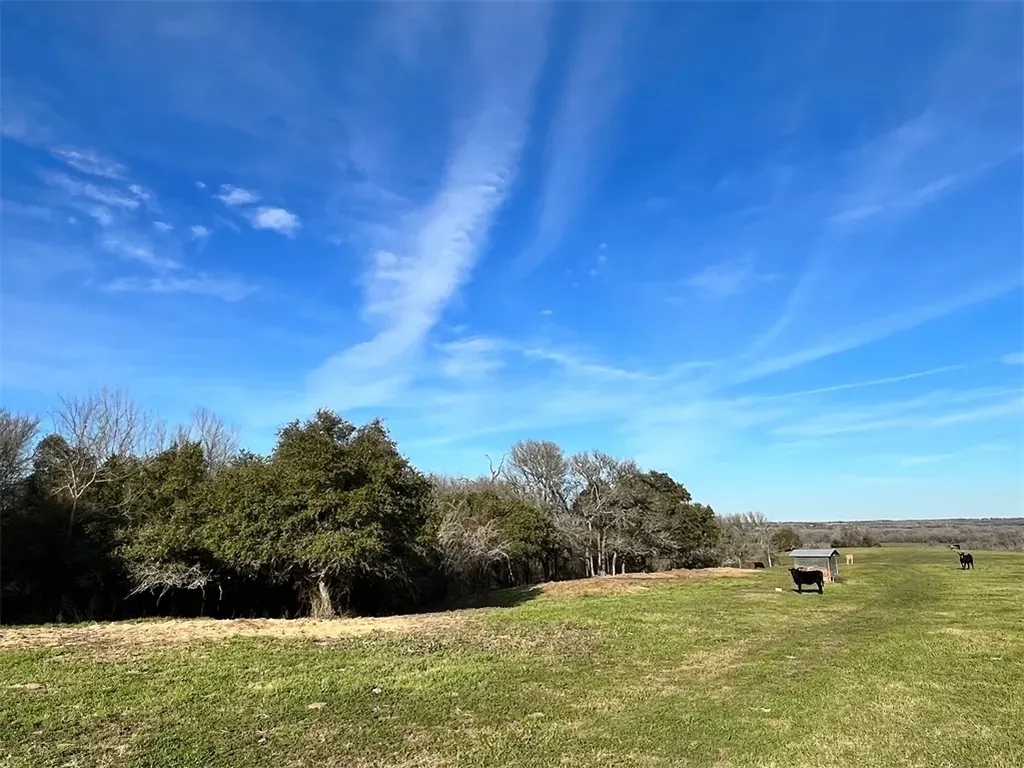 9785 Oilfield Rd Brenham TX 77833 - Hunting Land for Sale -  HuntingLocator.com - HuntingLocator.com