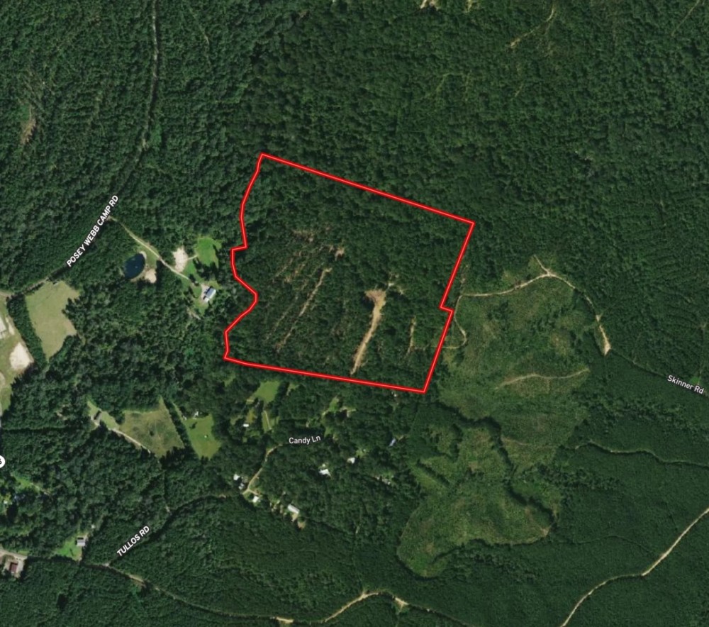 LA - Catahoula 65 acres - featured image