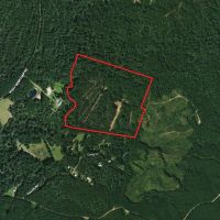 LA - Catahoula 65 acres -