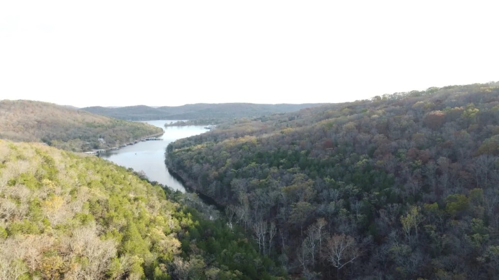 50 Acres of Timberland in Stone County Missouri featured image