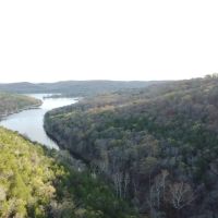 50 Acres of Timberland in Stone County Missouri