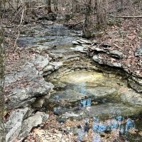 50 Acres of Timberland in Stone County Missouri images 2