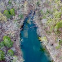 50 Acres of Timberland in Stone County Missouri images 4