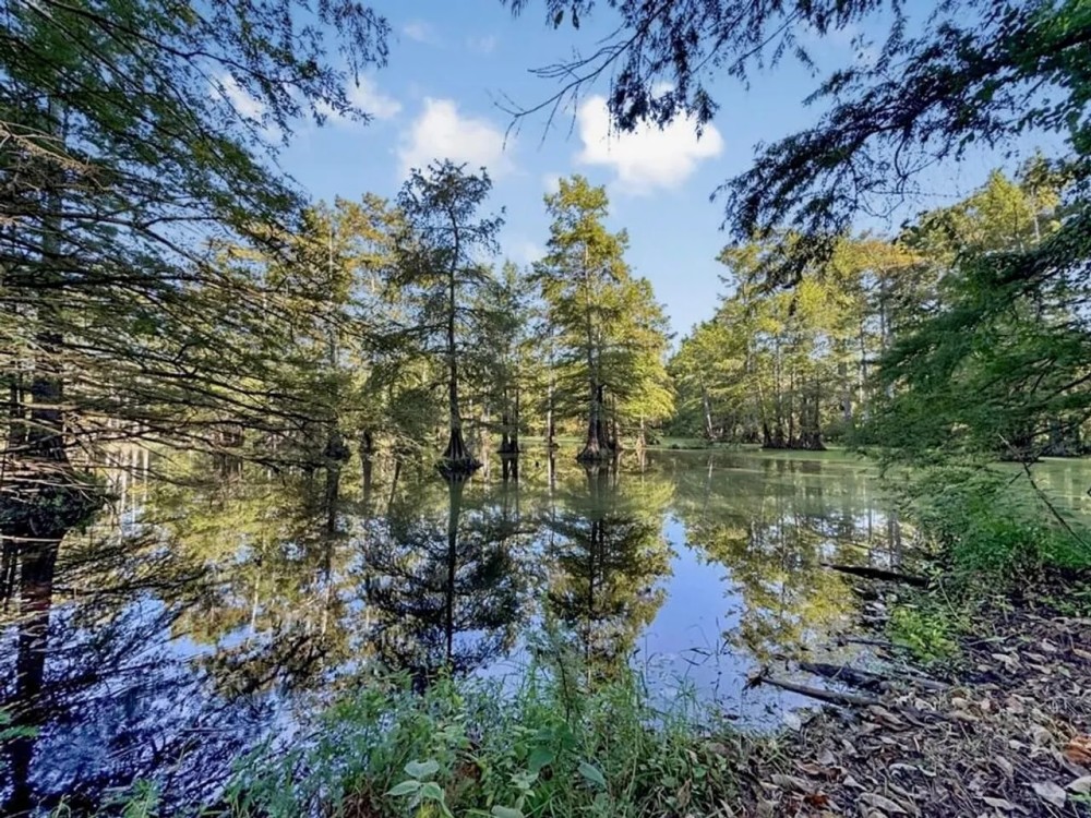 Duck Hunting Paradise for Sale in Ouachita Parish featured image