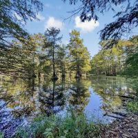 Duck Hunting Paradise for Sale in Ouachita Parish