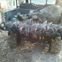 Duck Hunting Paradise for Sale in Ouachita Parish images 2