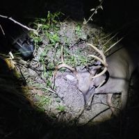 Duck Hunting Paradise for Sale in Ouachita Parish images 5