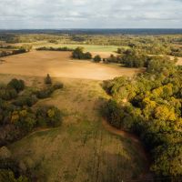 330 Acres with a Home in Carroll County MS Willow Bottom Farms images 2