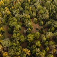 330 Acres with a Home in Carroll County MS Willow Bottom Farms images 5