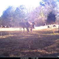 86 Acres in Lafayette County MS images 5