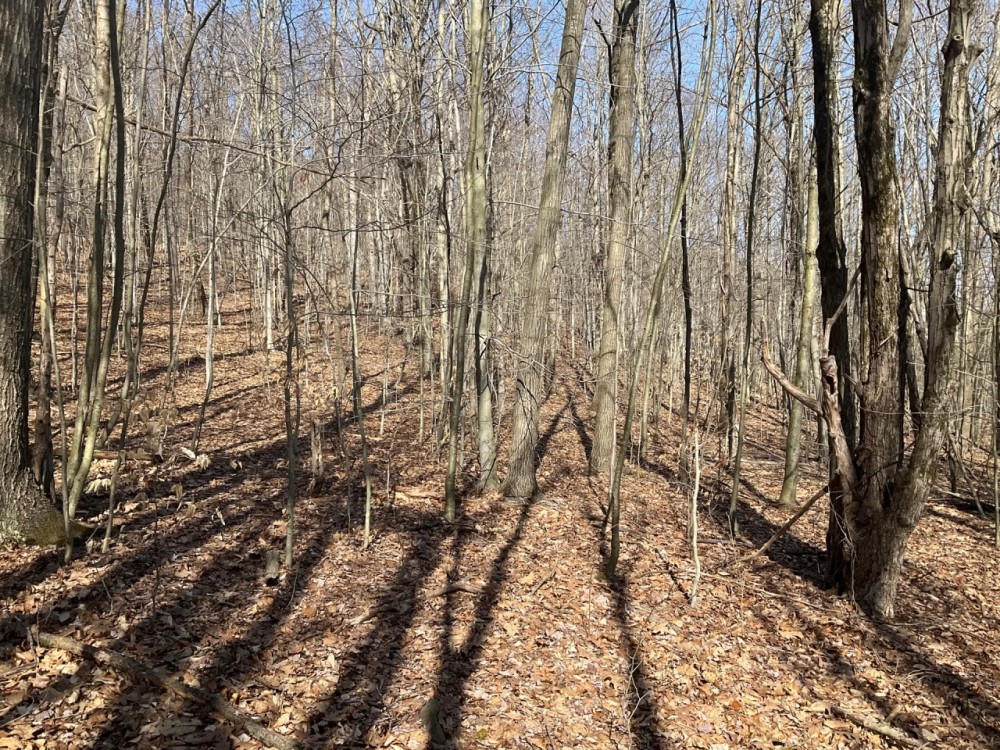 14 acre Hillside Property in Broome County NY featured image