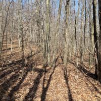 14 acre Hillside Property in Broome County NY