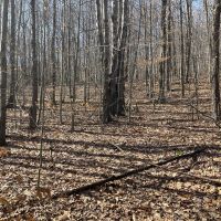 14 acre Hillside Property in Broome County NY images 2