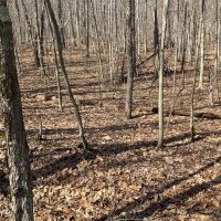 14 acre Hillside Property in Broome County NY images 3
