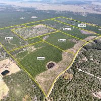 40 acres T-16 Spurger Pines North