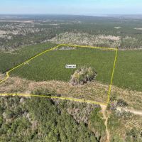 40 acres T-16 Spurger Pines North images 2