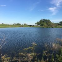 90 acres w/ House in McLennan Co