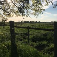 7ff14607-823b-4968-9cfc-8cdc2acaec17