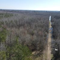 Incredible Riverfront Hunting Land in Prescott Arkansas - 1 230 Acres images 4