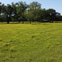 101.3 - acres Cornering Callahan Rd and Cypress Creek Rd Oakdale La 71463 images 2