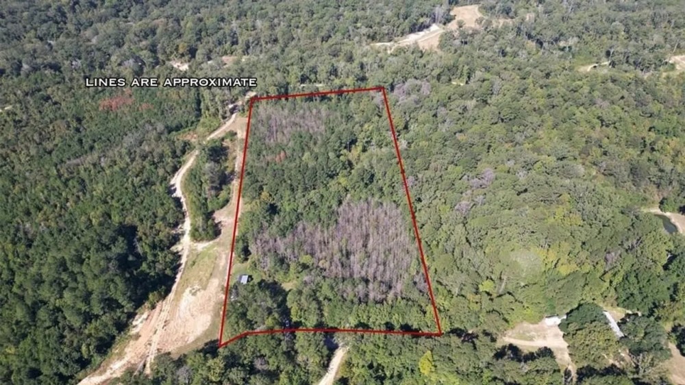 Turnkey Furnished Camp on Acreage in Woodville featured image