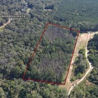 Turnkey Furnished Camp on Acreage in Woodville images 4