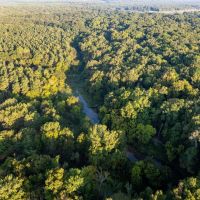 Twisted Osage Ranch images 4