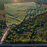 Twisted Osage Ranch images 5