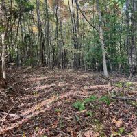 7.03 Acres of Residential or Recreational Land for Sale in Halifax County VA images 4