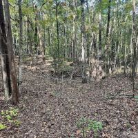 7.03 Acres of Residential or Recreational Land for Sale in Halifax County VA images 5