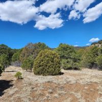 2 Picketwire Ranch