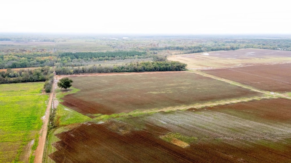 Biscoe Farm featured image