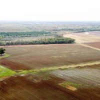 Biscoe Farm